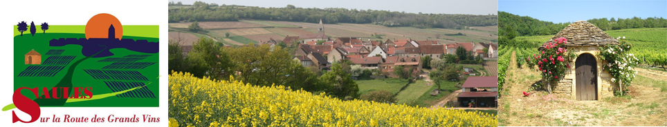 Banniere Commune de saules